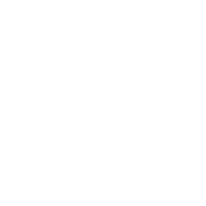 BSCAI Logo